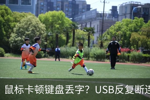 鼠标卡顿键盘丢字？USB反复断连的真凶可能藏在这几个设置里